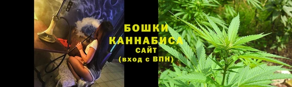 дмт Ладушкин