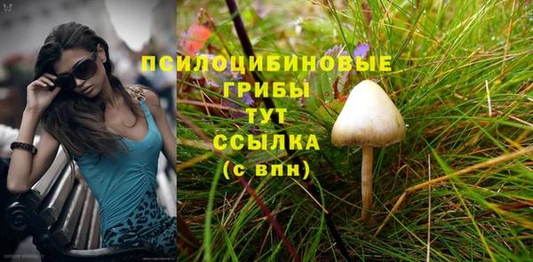 дмт Ладушкин