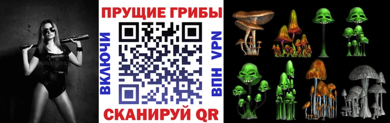 Галлюциногенные грибы прущие грибы  хочу   ссылка на мегу ссылка  Малгобек 