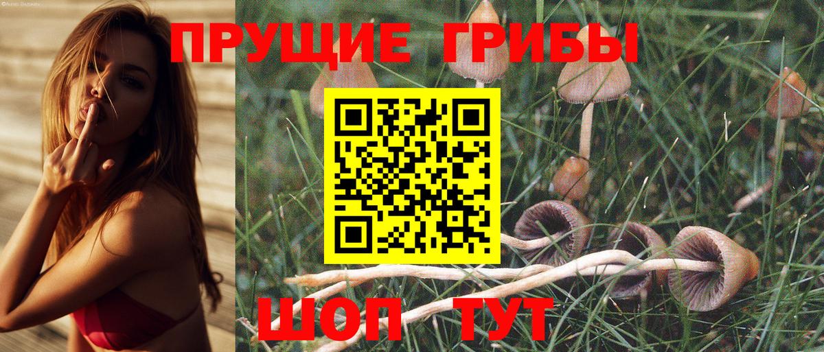 Малгобек  Галлюциногенные грибы MAGIC MUSHROOMS  Вход с VPN 